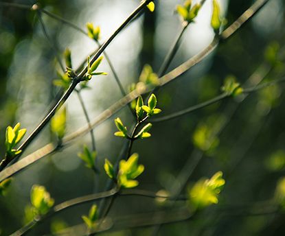 春は「目覚める」季節。熱のコントロールとデトックスで、身体を整えよう