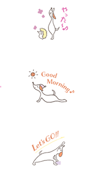 yoggy doggy　LINEスタンプに登場！