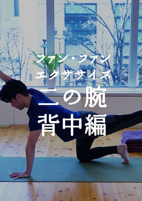 ファン・ファン・エクササイズ 二の腕・背中編