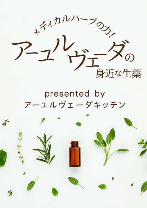 メディカルハーブの力！アーユルヴェーダの身近な生薬 presented by アーユルヴェーダキッチン（120分）／水野香織
