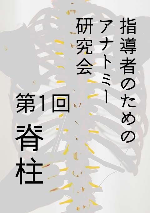 指導者のためのアナトミー研究会 第１回　脊柱（120分）／カオリン