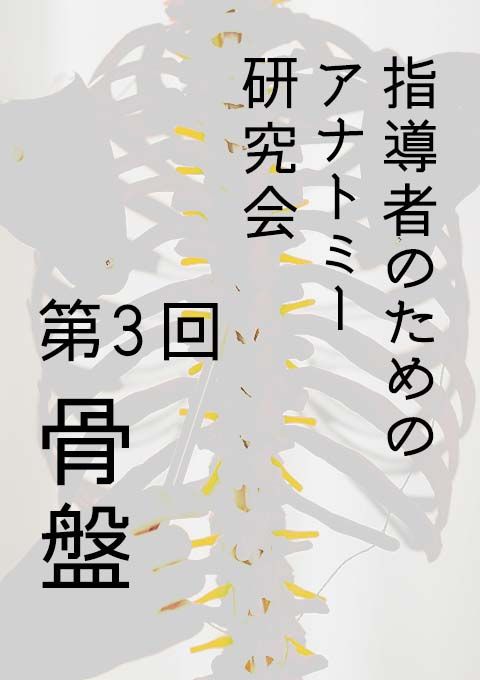 指導者のためのアナトミー研究会 第３回 骨盤（120分）／カオリン