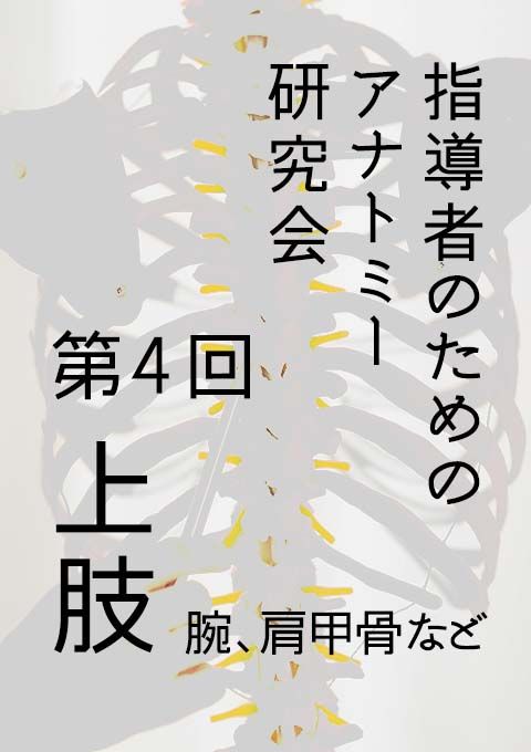 指導者のためのアナトミー研究会 第４回　上肢（腕、肩甲骨など）（120分）／カオリン