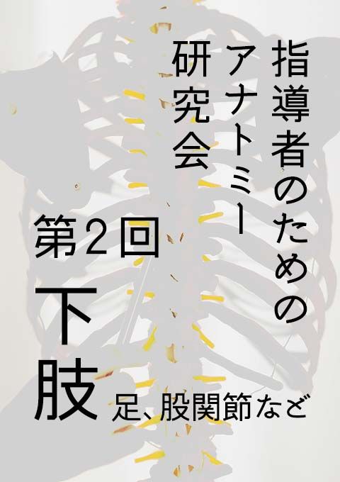 指導者のためのアナトミー研究会 第２回 下肢（足、股関節など）（120分）／カオリン